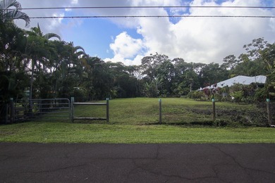 Beach Lot For Sale in Pahoa, Hawaii