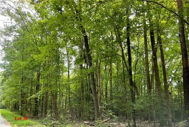 Beach Acreage For Sale in Heathsville, Virginia