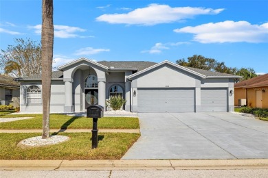 Beach Home For Sale in Riverview, Florida