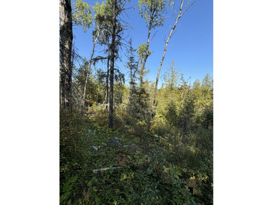 Beach Acreage For Sale in Hessel, Michigan