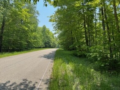 Beach Acreage Sale Pending in Mcmillan, Michigan