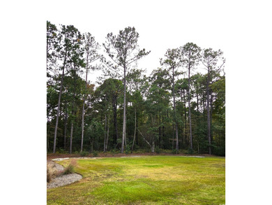 Beach Acreage For Sale in Pawleys Island, South Carolina