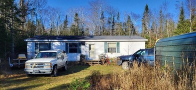 Beach Home For Sale in Bois Blanc Island, Michigan