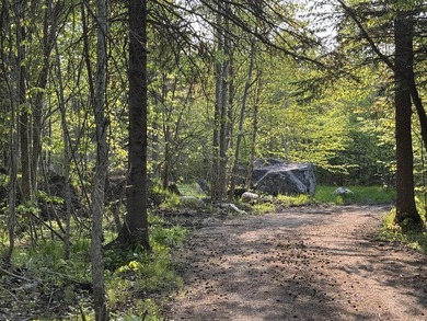 Beach Acreage For Sale in Grand Marais, Michigan