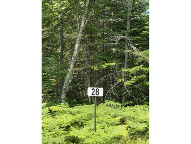 Beach Lot For Sale in Paradise, Michigan