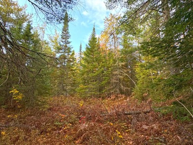 Beach Acreage For Sale in Paradise, Michigan