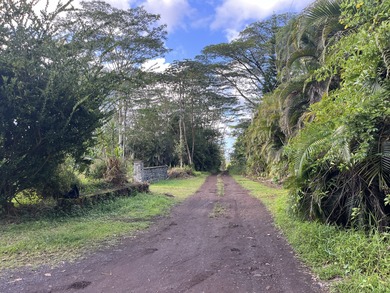 Beach Lot For Sale in Kurtistown, Hawaii