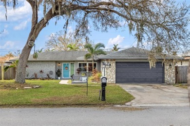 Beach Home Sale Pending in Venice, Florida