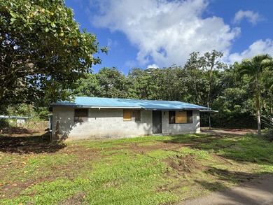 Beach Home For Sale in Pahoa, Hawaii