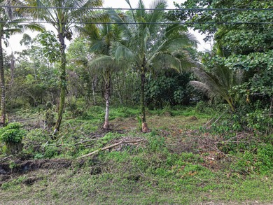 Beach Lot For Sale in Keaau, Hawaii