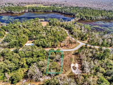 Beach Lot For Sale in Wewahitchka, Florida