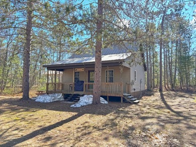 Beach Home For Sale in Paradise, Michigan