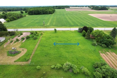 Beach Lot For Sale in Free Soil, Michigan