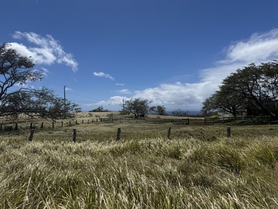 Beach Acreage For Sale in Hawi, Hawaii