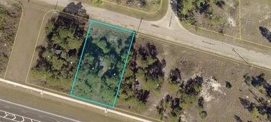 Beach Lot For Sale in Lehigh Acres, Florida
