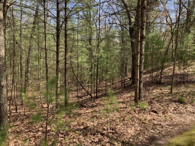 Beach Lot For Sale in Pentwater, Michigan