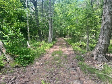 Beach Acreage For Sale in Belfast, Maine