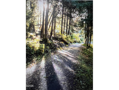 Beach Lot For Sale in Wheeler, Oregon