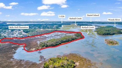 Beach Acreage For Sale in Mount Pleasant, South Carolina