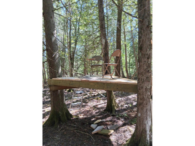 Beach Lot For Sale in Bois Blanc Island, Michigan