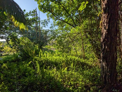 Beach Lot For Sale in Keaau, Hawaii