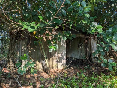 Beach Lot For Sale in Keaau, Hawaii