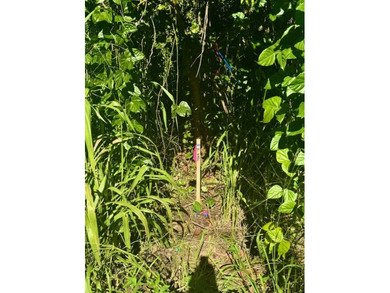 Beach Lot Active Under Contract in Pahoa, Hawaii