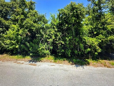 Beach Lot For Sale in Port Charlotte, Florida