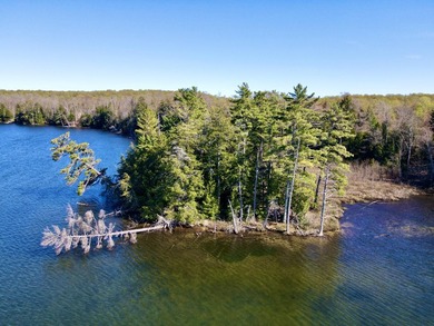 Beach Lot For Sale in Mcmillan, Michigan