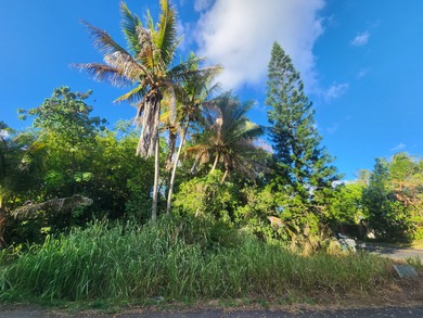 Beach Lot For Sale in Pahoa, Hawaii