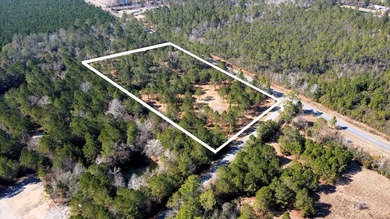 Beach Acreage For Sale in Wewahitchka, Florida