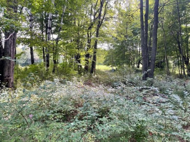 Beach Lot For Sale in Harbor Springs, Michigan