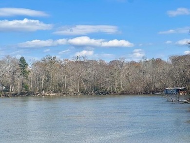 Beach Lot For Sale in Wewahitchka, Florida