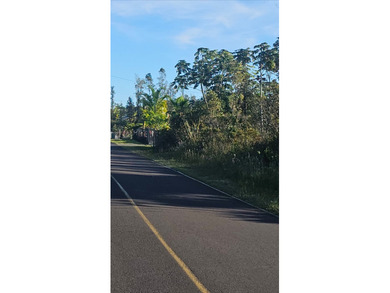 Beach Lot For Sale in Pahoa, Hawaii