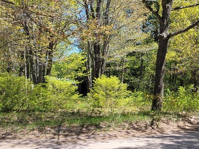 Beach Lot For Sale in Sault Sainte Marie, Michigan