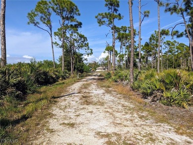 Beach Acreage For Sale in St. James City, Florida