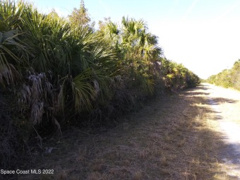 Beach Lot Off Market in Palm Bay, Florida