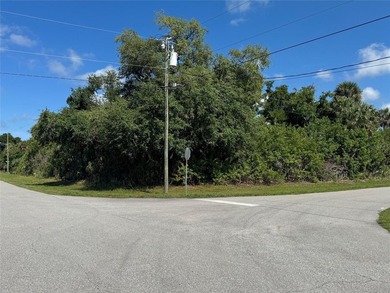 Beach Lot For Sale in Rotonda West, Florida