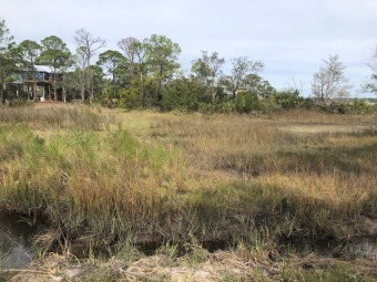 Beach Lot Off Market in Panacea, Florida