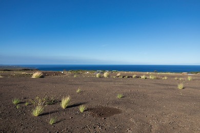 Beach Lot For Sale in Kamuela, Hawaii