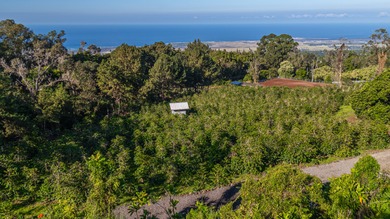 Beach Lot For Sale in Kailua Kona, Hawaii