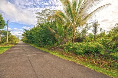Beach Lot For Sale in Keaau, Hawaii