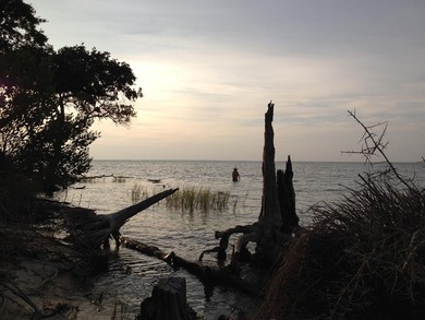 Beach Lot For Sale in St. George Island, Florida
