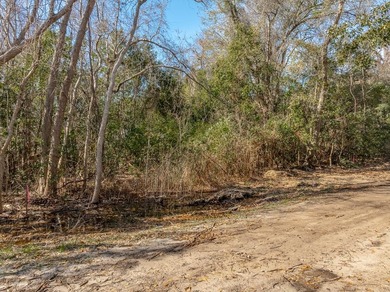 Beach Lot For Sale in Apalachicola, Florida