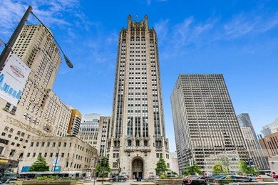 Beach Condo For Sale in Chicago, Illinois