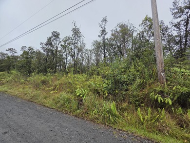 Beach Acreage Active Under Contract in Volcano, Hawaii