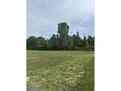 Beach Lot For Sale in South Haven, Michigan