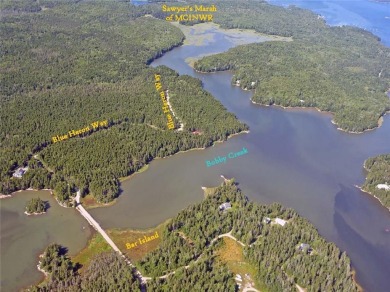 Beach Acreage Off Market in Milbridge, Maine