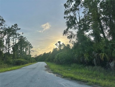 Beach Lot For Sale in North Port, Florida