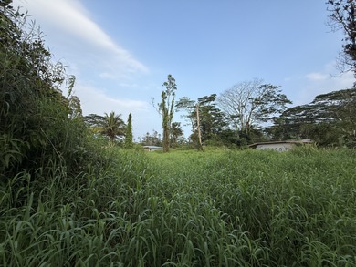 Beach Lot For Sale in Kurtistown, Hawaii